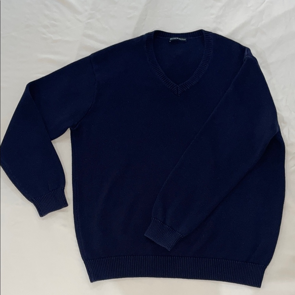 Brandy Melville Navy V-Neck Sweater
